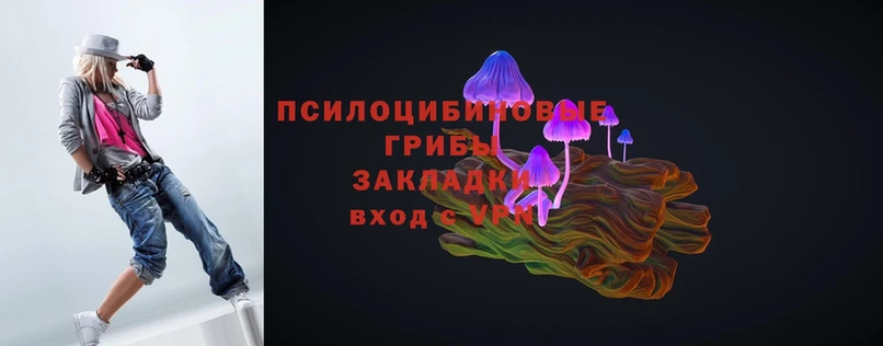 Псилоцибиновые грибы Magic Shrooms  Гремячинск 